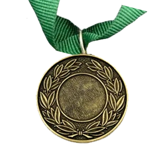 MED9 | Bronze Medal 38mm X 25mm Recess