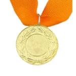 MED9 | Gold Medal 38mm X 25mm Recess - Orange
