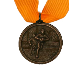 Casted Bronze Medals (35mm) – No Inserts Medals