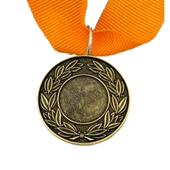 MED9 | Bronze Medal 38mm X 25mm Recess