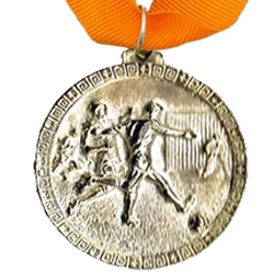 Casted Gold Medals (55mm) – No Inserts Medals