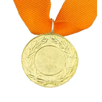 MED9 | Gold Medal 38mm X 25mm Recess