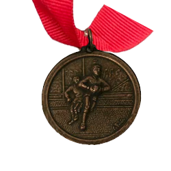 Casted Bronze Medals (35mm) – No Inserts Medals