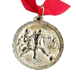 Casted Gold Medals (55mm) – No Inserts Medals