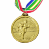 Casted Gold Medals (35mm) – No Inserts Medals - SA Flag Colors
