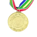 MED9 | Gold Medal 38mm X 25mm Recess - SA Flag Colors