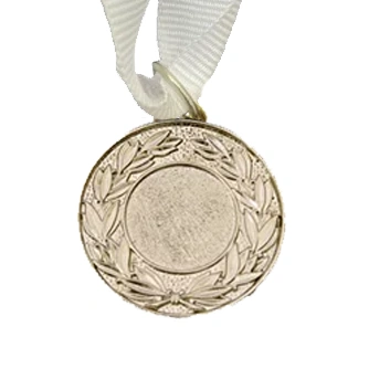 MED9 | Silver Medal 38mm X 25mm Recess