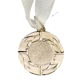 MED8 | Silver Medal 38mm X 25mm Recess