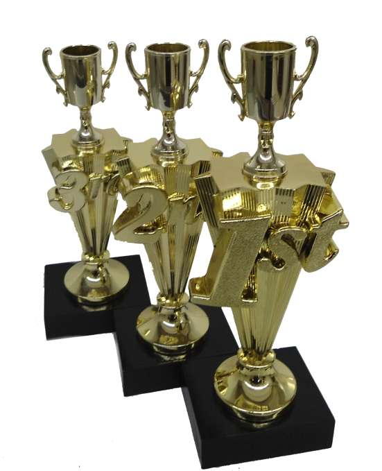1ST | 2ND | 3RD (PLACE TROPHY SET ) 3 Set Trophies -240mm