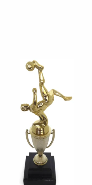 Soccer Bicycle Kick Male 265mm