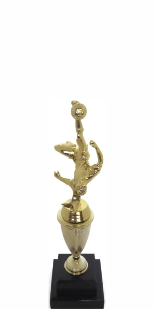 Soccer Bicycle Kick Male 265mm