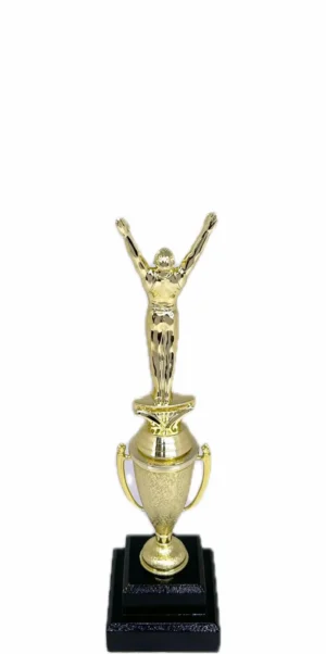 Gymnastics Male Trophy 295mm