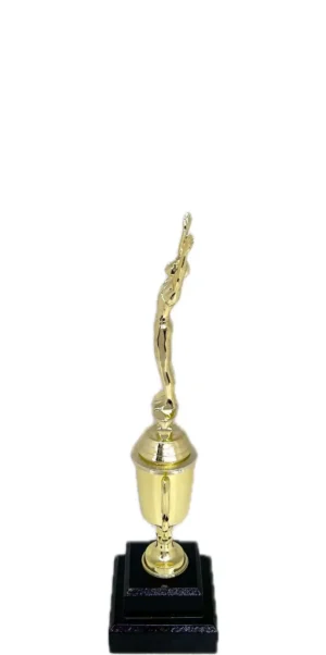 Gymnastics Male Trophy 295mm
