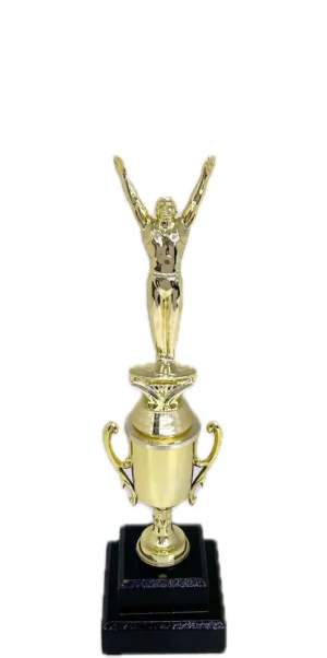 Gymnastics Male Trophy 315mm