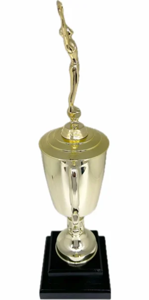 Gymnastics Male Trophy 435