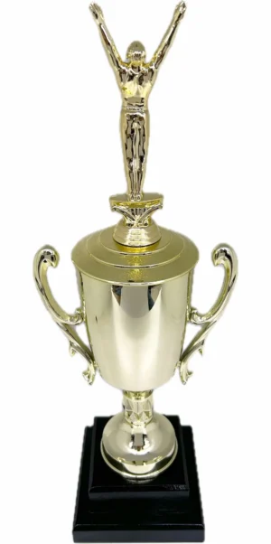 Gymnastics Male Trophy 435