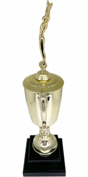 Gymnastics Male Trophy 435