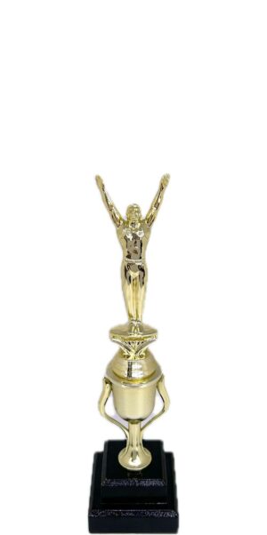 Gymnastics Male Trophy 295mm