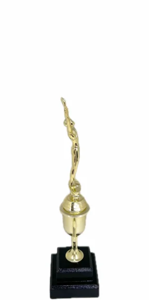 Gymnastics Male Trophy 295mm