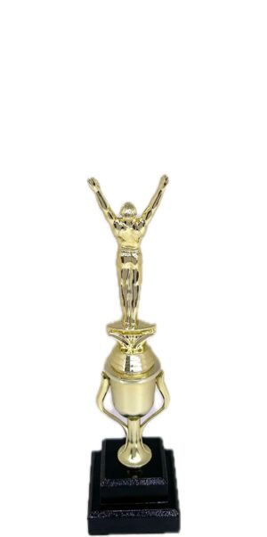 Gymnastics Male Trophy 295mm