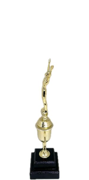 Gymnastics Male Trophy 295mm