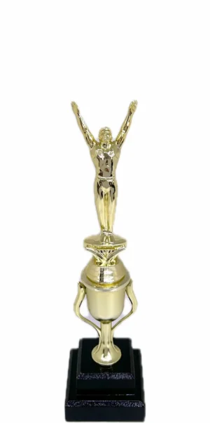 Gymnastics Male Trophy 315mm