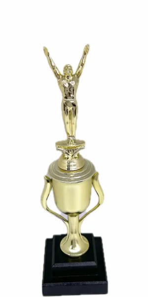 Gymnastics Male Trophy 355m
