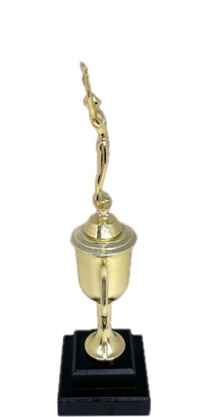 Gymnastics Male Trophy 355m