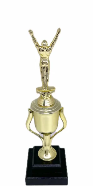 Gymnastics Male Trophy 355m