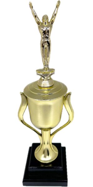 Gymnastics Male Trophy 435mm
