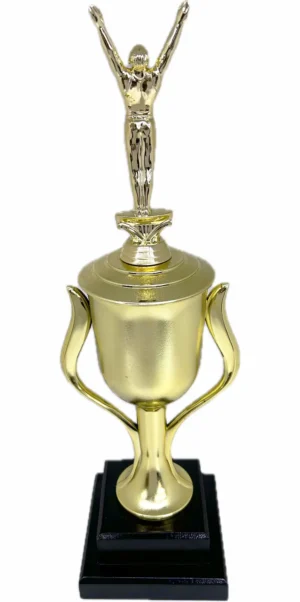 Gymnastics Male Trophy 435mm