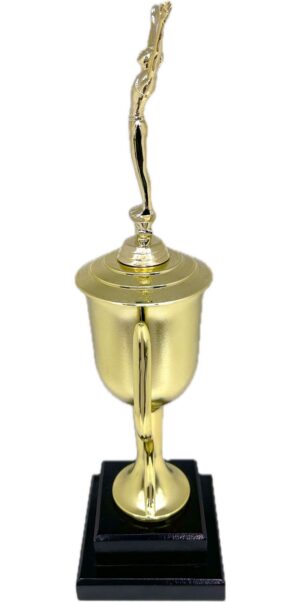 Gymnastics Male Trophy 435mm